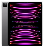 APPLE iPad Pro 12.9", 256GB, Wi-Fi, spacegrau